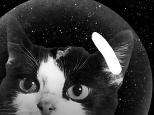 Φωτογραφία για Φελισέτ: Η άγνωστη ιστορία της πρώτης γάτας που ταξίδεψε στο διάστημα