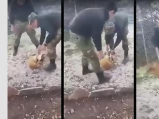 Φωτογραφία για Βίντεο-σοκ: Έλληνες στρατιώτες βασάνισαν και πέταξαν σκύλο σε γκρεμό - Σχηματίζεται δικογραφία από τη Δίωξη - Οργή Καμμένου! Σχηματίζεται δικογραφία σε βάρος τους!