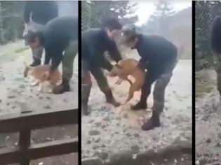 Φωτογραφία για Συγγνώμη ζητούν οι δύο στρατιώτες που βασάνισαν τον σκύλο σε στρατόπεδο [Βίντεο]