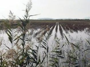 Φωτογραφία για Στον Εισαγγελέα οι αγρότες της Αιτωλοακαρνανίας για τις πλημμύρες από τον Αχελώο