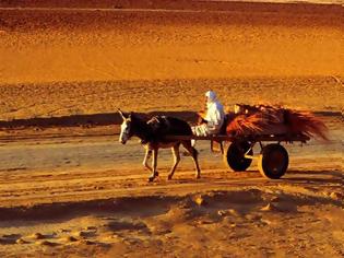Φωτογραφία για Επιστήμη: Η έρημος Σαχάρα έχει μεγαλώσει 10% από το 1920