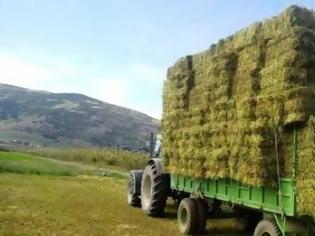 Φωτογραφία για Σοβαρό εργατικό ατύχημα στον Εμπεσό – 42χρονος καταπλακώθηκε από τριφύλλι!