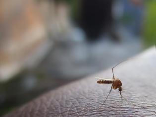 Φωτογραφία για Έρχεται η πρώτη εφαρμογή κινητού που θα σε προειδοποιεί όταν πλησιάζει... κουνούπι!