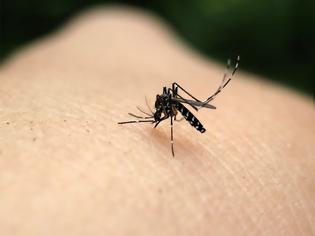 Φωτογραφία για Εφαρμογή για κινητά τηλέφωνα προειδοποιούν όταν ένα κουνούπι πλησιάζει!