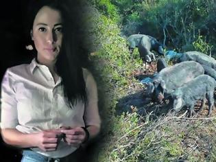 Φωτογραφία για Η 27χρονη από το Αγρίνιο που εκτρέφει μαύρους χοίρους