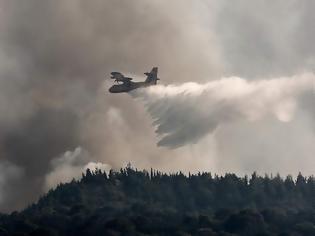 Φωτογραφία για Εγκρίθηκε το ποσό των 16.910.000 ευρώ σε Δήμους της χώρας για δράσεις πυροπροστασίας