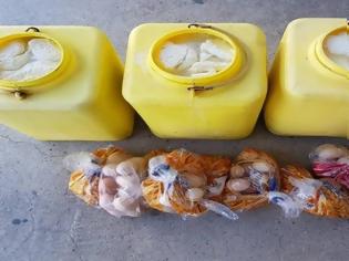 Φωτογραφία για Κύπρος: Κατασχέθηκαν από Τ/κ εξήντα κιλά χαλλούμια και εκατό αυγά