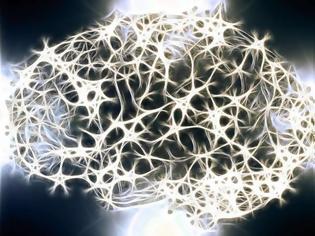 Φωτογραφία για Το Ευρωπαϊκό Συμβούλιο Έρευνας χρηματοδοτεί έρευνα με αντικείμενο το πώς ο εγκέφαλος κάνει προβλέψεις