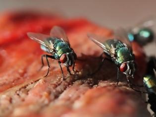 Φωτογραφία για Τρία κόλπα για να κρατήσετε τις μύγες μακριά από το πασχαλινό τραπέζι
