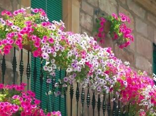 Φωτογραφία για Φτιάξτε μια παραδεισένια λουλουδάτη βεράντα!