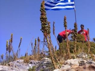 Φωτογραφία για Πολίτες ύψωσαν την ελληνική σημαία στη νησίδα Ανθρωποφάς στα Δωδεκάνησα που η Αγκυρα αμφισβητεί την ελληνική κυριαρχία!