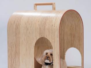 Φωτογραφία για Δείτε τα πιο πρωτότυπα σπίτια σκύλων, που σχεδιάστηκαν για καλό σκοπό