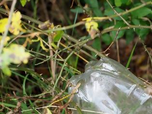 Φωτογραφία για Δημιουργήθηκε ένζυμο που τρώει... πλαστικά μπουκάλια