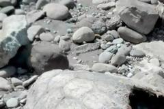 Ξεβράστηκε θαλάσσια χελώνα στην Τουρλίδα