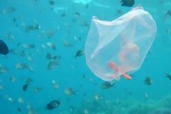 Ένα στα τρία σκουπίδια στο βυθό της Σύρου είναι πλαστικές σακούλες