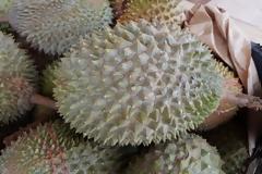 Ένα... φρούτο προκάλεσε πανικό σε βιβλιοθήκη πανεπιστημίου