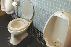 Η πιο γραφική ανακοίνωση σε ελληνική τουαλέτα