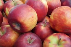 ΗΠΑ: Πρόστιμο 500 δολαρίων σε μια γυναίκα για ένα... δωρεάν μήλο