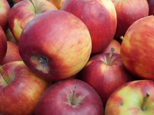 Φωτογραφία για ΗΠΑ: Πρόστιμο 500 δολαρίων σε μια γυναίκα για ένα... δωρεάν μήλο