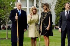 Εξαφανίστηκε το δέντρο που φύτεψαν ο Μακρόν και ο Τραμπ στον Λευκό Οίκο