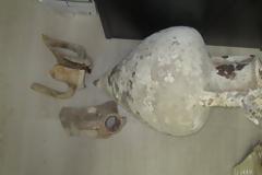 Μουσείο είχε κάνει το σπίτι του 45χρονος αρχαιοκάπηλος