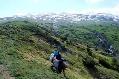 Αποκαλυπτικές εικόνες: Αλβανοί κυνηγοί βοτάνων θερίζουν τον Γράμμο!