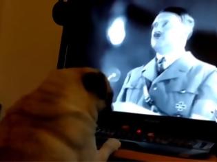 Φωτογραφία για Πρόστιμο 950 ευρώ σε ιδιοκτήτη που έμαθε τον σκύλο του να... χαιρετά ναζιστικά!