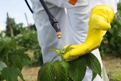 Κύπρος: Φυτοφάρμακα στον οργανισμό παιδιών