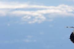 PhoneSats: Πώς η NASA μετέτρεψε τα smartphones σε δορυφόρους