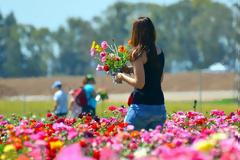 Να γιατί πρέπει να κόψεις λουλούδια και για το γραφείο