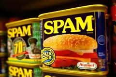 Η ιστορία του Spam
