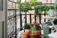 Πώς να κάνεις το μικρό σου μπαλκόνι έναν ανθισμένο κήπο