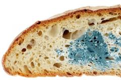 Τι θα σας συμβεί αν φάτε τρόφιμο που έχει πιάσει μούχλα