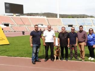 Φωτογραφία για Εντυπωσίασαν οι αστυνομικοί σκύλοι σε επίδειξη ανίχνευσης εκρηκτικών υλών