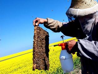 Φωτογραφία για Γιατί η απαγόρευση των εντομοκτόνων στην Ευρώπη είναι μεγάλη είδηση