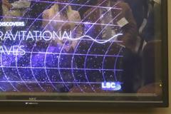 H Βίκυ Καλογερά μέλος της Εθνικής Ακαδημίας Επιστημών των ΗΠΑ