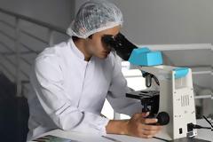 Σε λειτουργία για 36 ώρες διατήρησαν οι επιστήμονες εγκεφάλους χοίρων!