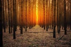 Όσα μπορείς να δεις μόνο όταν δεν βιάζεσαι