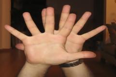 Εγκληματίες! Όρισαν τον Κομίνη την τελευταία αγωνιστική