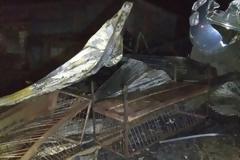 Φθιώτιδα: Κάηκαν ζώα από πυρκαγιά σε ποιμνιοστάσιο [photos]