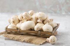 Πολύτιμο φάρμακο για πολλές ασθένειες τα μανιτάρια