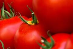 Τομάτα ο πολύτιμος σύμμαχος της υγείας