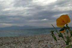 Καιρός: Πού θα βρέξει την Παρασκευή (4/5) - Αναλυτική πρόγνωση