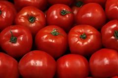 Κατέσχεσαν δύο τόνους ντομάτες σε επιχείρηση στον Πειραιά