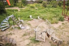 Ecodrome: Βλέποντας θερινό σινεμά σε καρέκλες φερ φορζέ, στη μέση ενός πορτοκαλεώνα