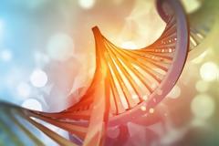 Μπορείς να νικήσεις το DNA σου; Και τι ρόλο παίζει η διατροφογενωμική;