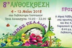 Ανοίγει τις 