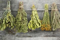 Βότανα: Οδηγίες διαχείρισης και συντήρησης των θρεπτικών αυτών τροφών!