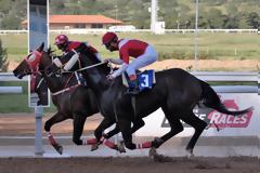 Μεγάλη μάχη για το Κύπελλο Ηνιόχου σήμερα στο Μαρκόπουλο