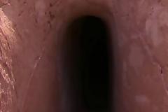 Για 25 χρόνια έσκαβε αυτό το τούνελ. Οταν δείτε τι έφτιαξε μέσα, θα πάθετε σοκ... [video]